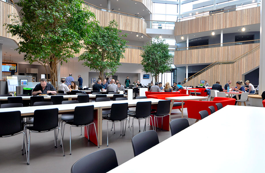 Bournemouth University