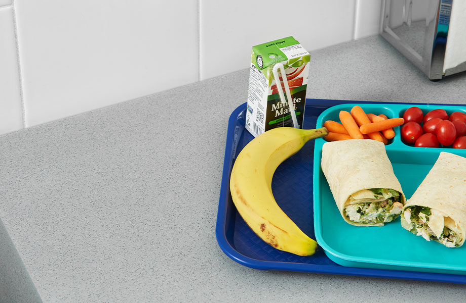 415 Luna Steel solid surface countertops with cafeteria tray