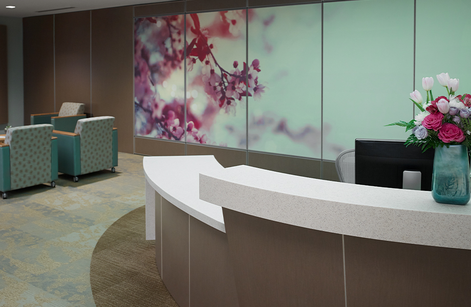 4925-NG Walnut Softwood desk with 766 Portfino Mineral counter and Formica Envision wall